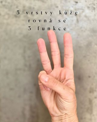 Taky někdy nevíte, jestli máte použít slovo kůže nebo pokožka? Tak si v tom udělejme jasno. Kůže je jeden z orgánů našeho...